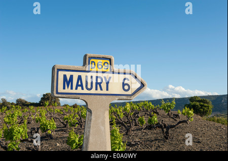 Cartello stradale per una strada di campagna serpeggianti attraverso i vigneti DOC di Maury, Pyrenees-Orientales, Francia Foto Stock