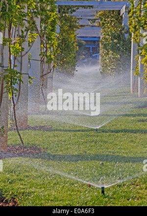 La spruzzatura di acqua da impianti sprinkler in posizione di parcheggio Foto Stock