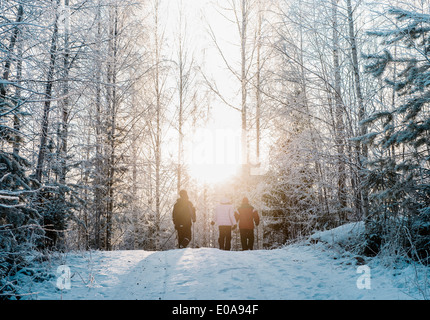 Tre persone nordic walking in coperta di neve forest Foto Stock