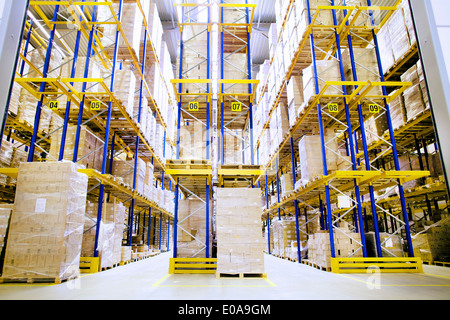 Pallet e ripiani in magazzino di distribuzione Foto Stock