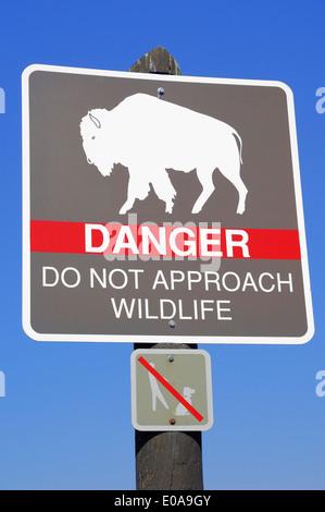 Firmare con un bisonte americano e il testo informazioni di pericolo non avvicinarsi alla fauna selvatica, Upper Geyser Basin Foto Stock