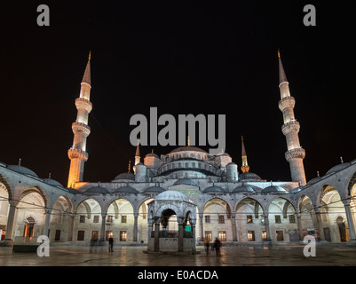 I campi illuminati da cupole e minareti del Sultano Ahmet o moschea blu dal cortile interno, Sultanahmet, Istanbul, Turchia Foto Stock