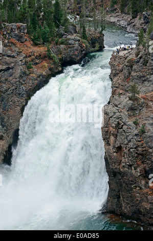 Upper Falls, Yellowstone River, il Grand Canyon di Yellowstone, il Parco nazionale di Yellowstone, Wyoming USA Foto Stock
