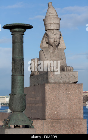 Antiquariato sfinge egizia stabilito a San Pietroburgo, Russia Foto Stock