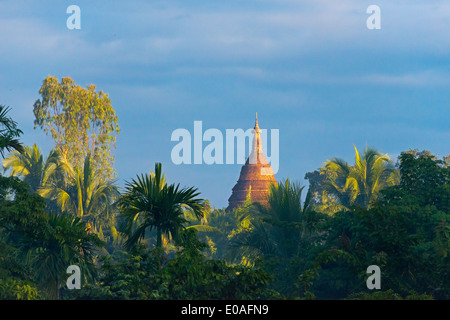 Antichi templi e pagode nella giungla, Mrauk-U, Stato di Rakhine, Myanmar Foto Stock