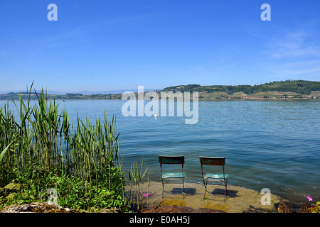Stühle im Wasser, Morat Foto Stock
