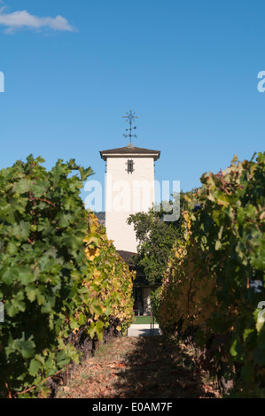 Rober Mondavi winery, Napa Valley, California, Stati Uniti d'America Foto Stock