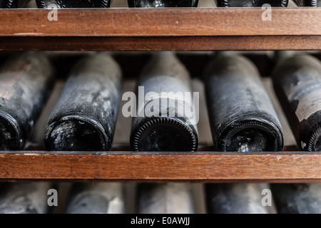 Una fila di antico e di gusto e polverose bottiglie di vino in una cantina Foto Stock