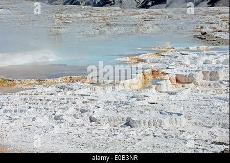 Il travertino terrazza sulla terrazza principale, Mammoth Hot Springs, il Parco nazionale di Yellowstone, Wyoming USA Foto Stock