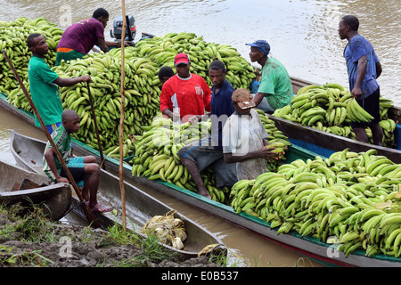 Le banane sono caricati, barche sul fiume Rio Baudo, Choco provincia, Colombia Foto Stock