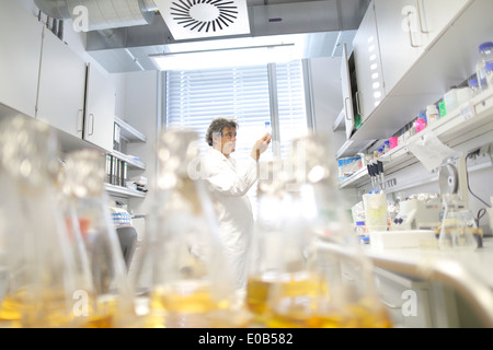 Germania, Freiburg, scienziato in laboratorio i campioni di valutazione Foto Stock