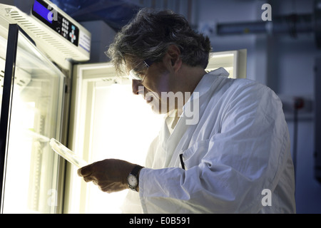 Germania, Freiburg, scienziato in laboratorio i campioni di valutazione Foto Stock
