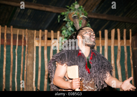 Guerriero con tatooed faccia presenta una spiegazione della cultura Maori, cultura Maori, Tamaki Villaggio Culturale, Rotorua, Aprile 2014 Foto Stock