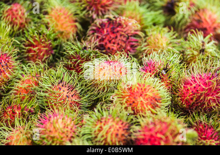 Hailand, Phang Nga, mercato settimanale vicino Khuekkhak, rambutan Foto Stock