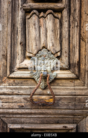 Un vecchio e rusty lion porta sagomata respingente su un antico porta in legno Foto Stock