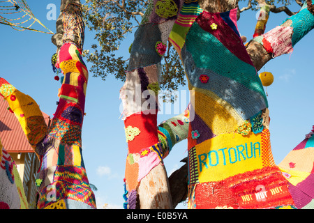 Bomba di filato di albero in Rotorua in aprile 2014. Foto Stock