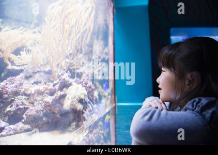 Ragazza ammirando la vita di mare in acquario Foto Stock