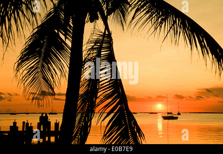 Tramonto, Bayside, Key Largo. Foto Stock