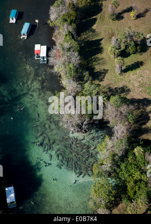 Vista aerea, Crystal River. Foto Stock