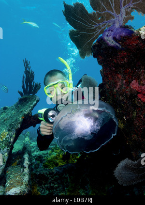 Subacqueo e Luna meduse. Foto Stock