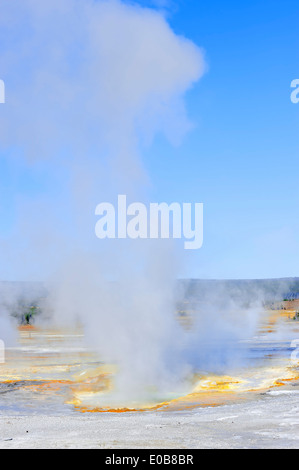 A clessidra Geyser, Fontana vaso di vernice area, il Parco nazionale di Yellowstone, Wyoming USA Foto Stock