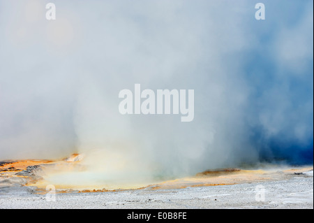 A clessidra Geyser, Fontana vaso di vernice area, il Parco nazionale di Yellowstone, Wyoming USA Foto Stock