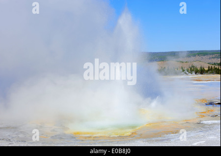 A clessidra Geyser, Fontana vaso di vernice area, il Parco nazionale di Yellowstone, Wyoming USA Foto Stock