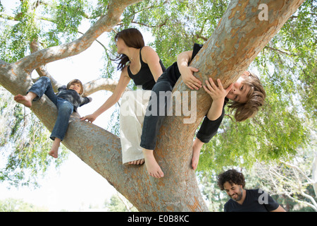 Famiglia con due ragazzi arrampicata sulla struttura del parco Foto Stock