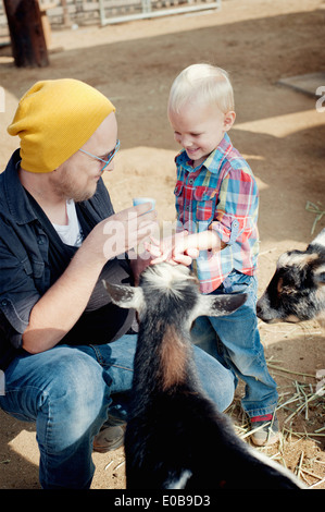 Padre e figlio di capra di alimentazione Foto Stock