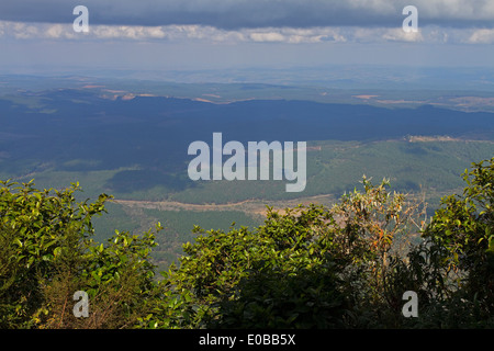 Vista la vicinanza di Dio la finestra, Blyde River Canyon, Northern Drakensberg - Mpumalanga in Sudafrica Foto Stock