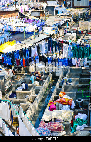 Città bucato in base di fronte di salita di blocchi di appartamenti dove Hotel servizio lavanderia è lavato ed essiccato nel sole caldo,Bombay,Mumbai,l'India Foto Stock