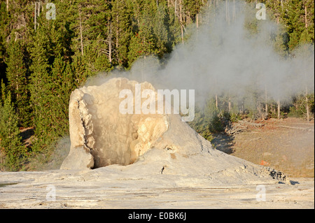 Geyser gigante, Upper Geyser Basin, il Parco nazionale di Yellowstone, Wyoming USA Foto Stock