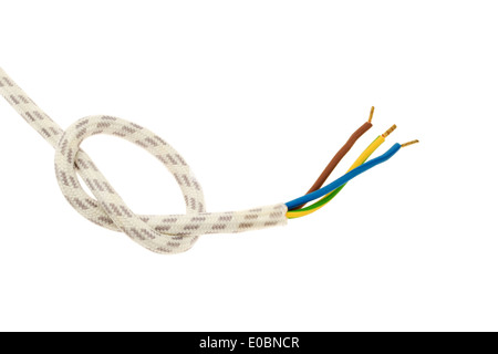Un cavo elettrico con spina di flusso per l'energia elettrica. Foto Stock