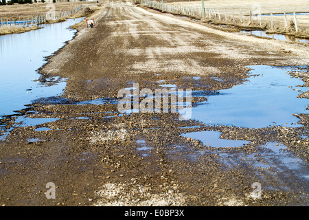 Autostrada rurale, Southern Alberta, essendo sorvolata da un lato all'altro con le inondazioni Foto Stock