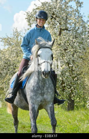 Cavalcare su un pony Connemara mare in primavera Foto Stock