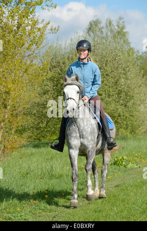 Cavalcare su un pony Connemara mare in primavera Foto Stock