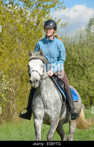 Cavalcare su un pony Connemara mare in primavera Foto Stock