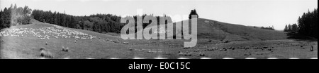 Questa fotografia mostra la Brancepeth Sheep Station a Masterton, nuova Zelanda, tra il 1923 e il 1928. L'immagine offre uno sguardo alla vita rurale e all'industria dell'allevamento ovino nell'Isola del Nord della nuova Zelanda durante l'inizio del XX secolo. Foto Stock