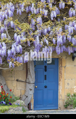 Il Glicine che cresce su un cottage in Broadway, Worcestershire, England, Regno Unito Foto Stock
