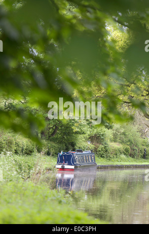 Narrowboat ormeggiato sul Staffordshire e Worcester Canal, England, Regno Unito Foto Stock