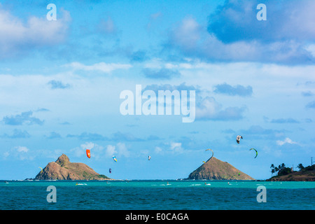 Kitesurf a Kailua Beach, Oahu, Hawaii, STATI UNITI D'AMERICA Foto Stock