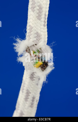 Tappo di flusso per connettore maschio per cavo casa Schukostecker flusso flusso di luce casa di tecnologia corto circuito corto circuito di gestione di alimentazione del pannello SUP Foto Stock