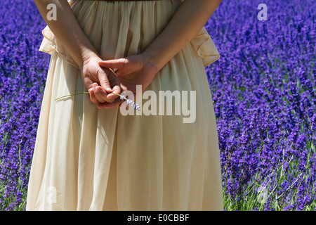 Turistico a Fattoria di Lavanda, furano, prefettura di Hokkaido, Giappone Foto Stock