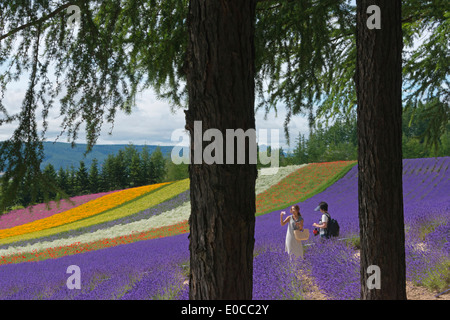 I turisti nella fattoria di lavanda, furano, prefettura di Hokkaido, Giappone Foto Stock