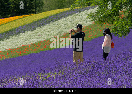 I turisti nella fattoria di lavanda, furano, prefettura di Hokkaido, Giappone Foto Stock