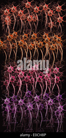 Neurone, disegno Foto Stock