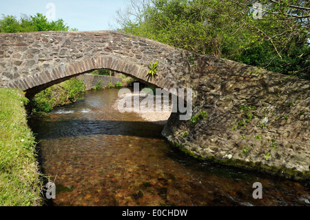 Pack Horse ponte su Horner acqua, West Luccombe Foto Stock