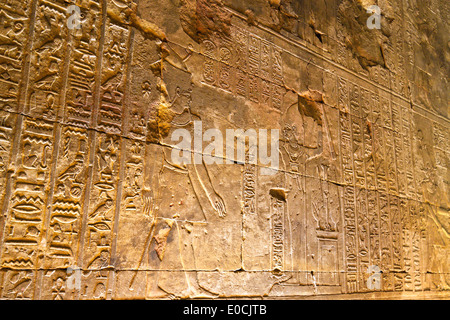 Africa, Egitto, Edfu, al Tempio di Horus Foto Stock