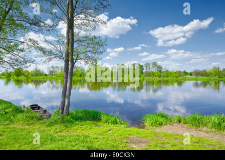 Soleggiato paesaggio estivo. Alberi e barca a riva. Valle del fiume Narew, Polonia. Foto Stock