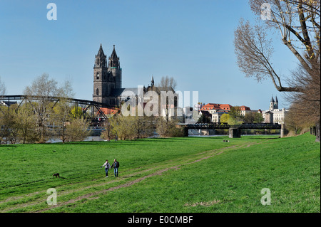 Vista su Elb meadow e il fiume Elba sulla Cattedrale di Magdeburgo e Unser Lieben Frauen monastero, di Magdeburgo, Sassonia-Anhalt, Tedesco Foto Stock